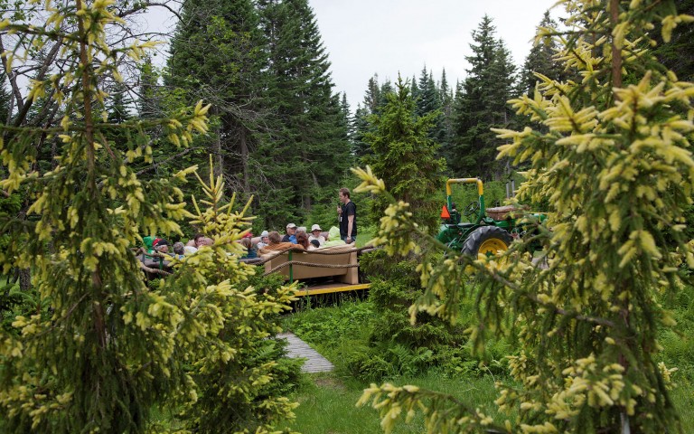 Guided tour to the Arboretum of the Finnish Natural Resources Institute in Punkaharju