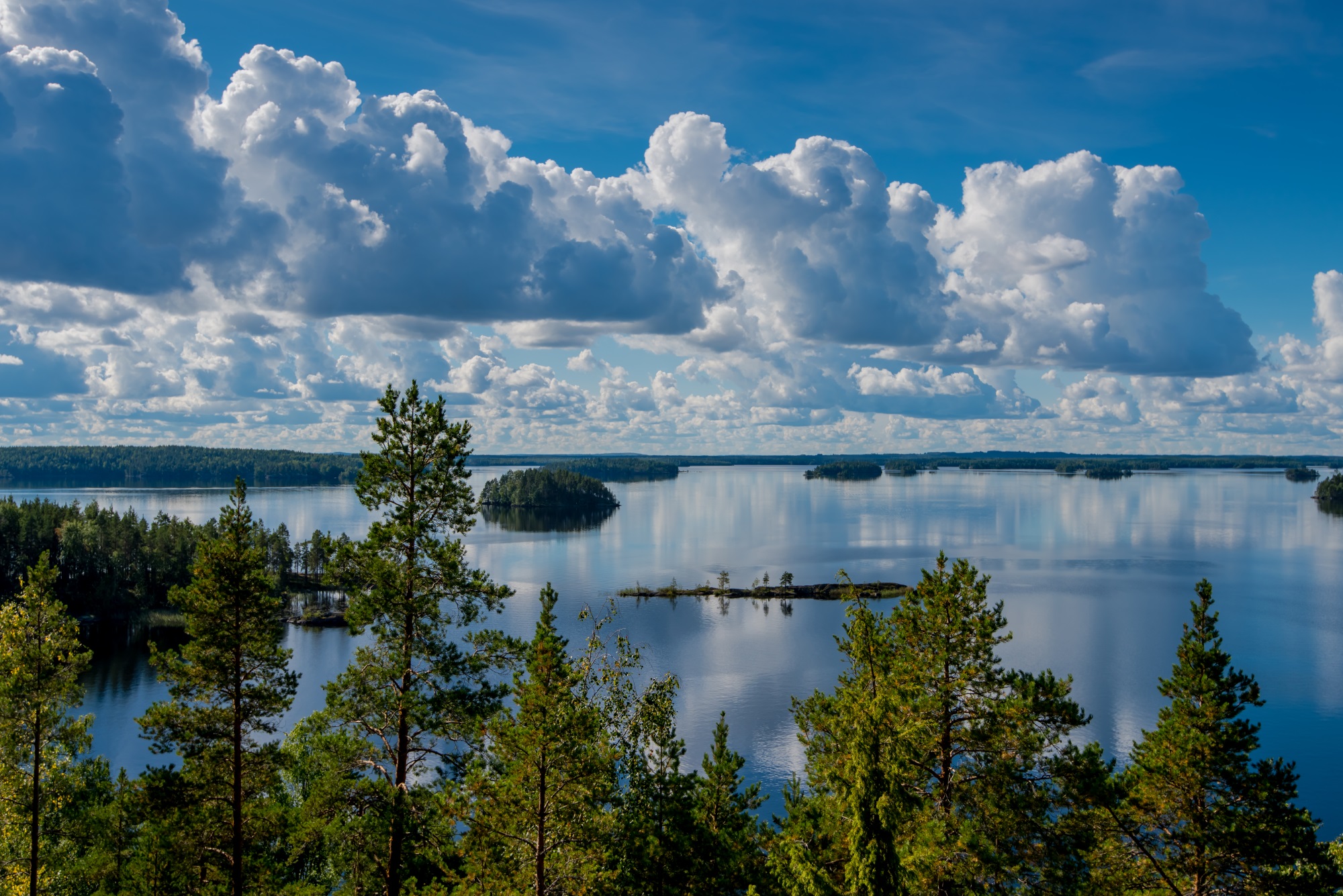 Luonto, Retkeily, Kansallispuisto | Kolovesi Ja Linnansaari