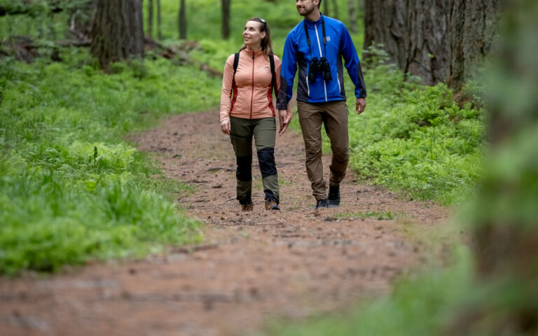 Guided tour to the Arboretum of the Finnish Natural Resources Institute in Punkaharju