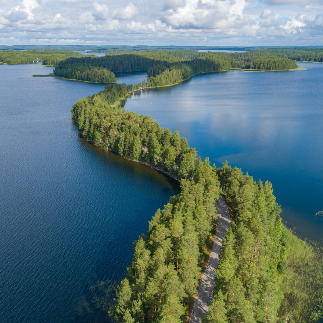 Vihreän kullan kulttuuritie punkaharjun Harjualue_Savonlinnan kaupunki