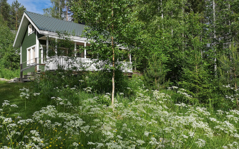 Lakeside cottage Metsäranta – Savonranta