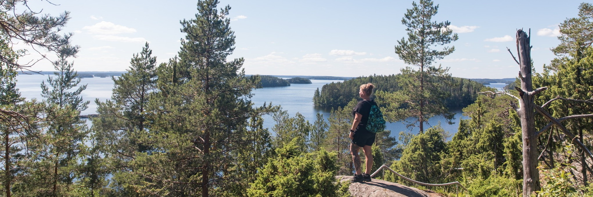 Linnansaari National Park I Saimaa ringed seal I Visit Savonlinna