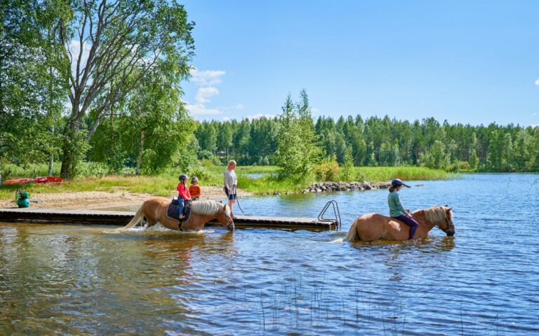 Hevosten uittaminen järvessä