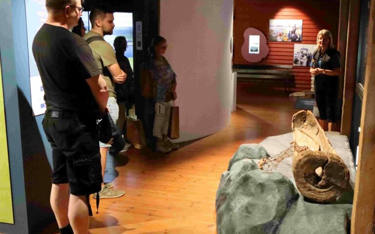 Guided Museum Tour for Groups in English