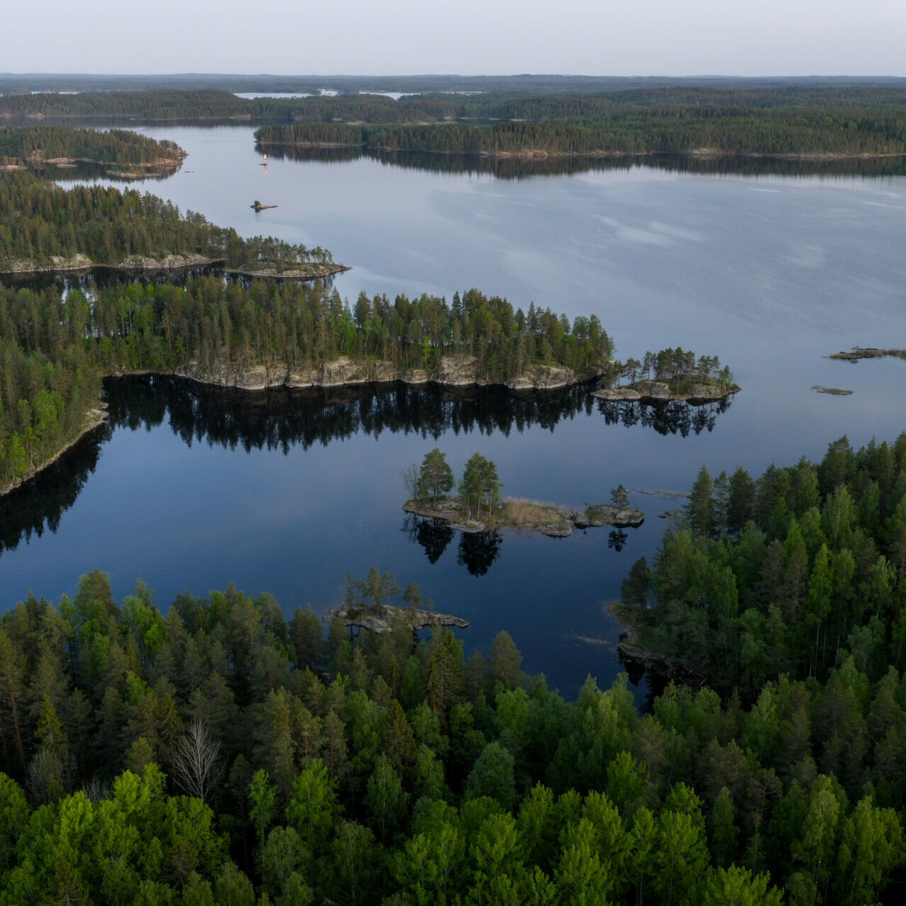 2025_Lake Saimaa_norppasafari_Linnansaari_hires--27 2025_Lake Saimaa_norppasafari_Linnansaari_hires--27