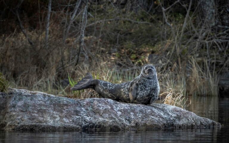 Valokuvausviikonloput