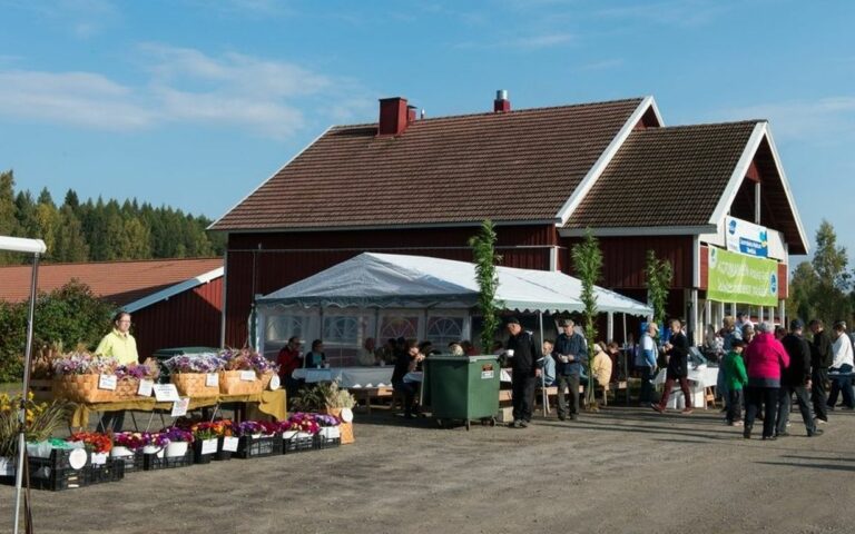 PopUp la 12.9. | Elomarkkinat | Koivikon Kartano, Kitee