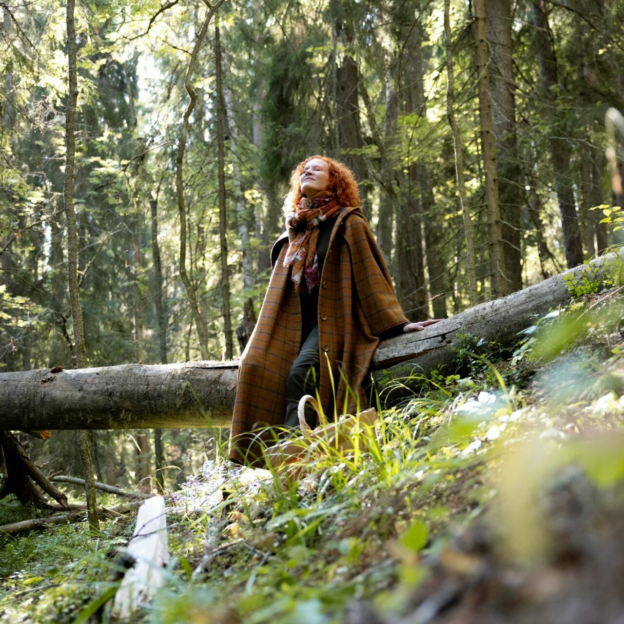 Forest wellbeing Forest wellbeing