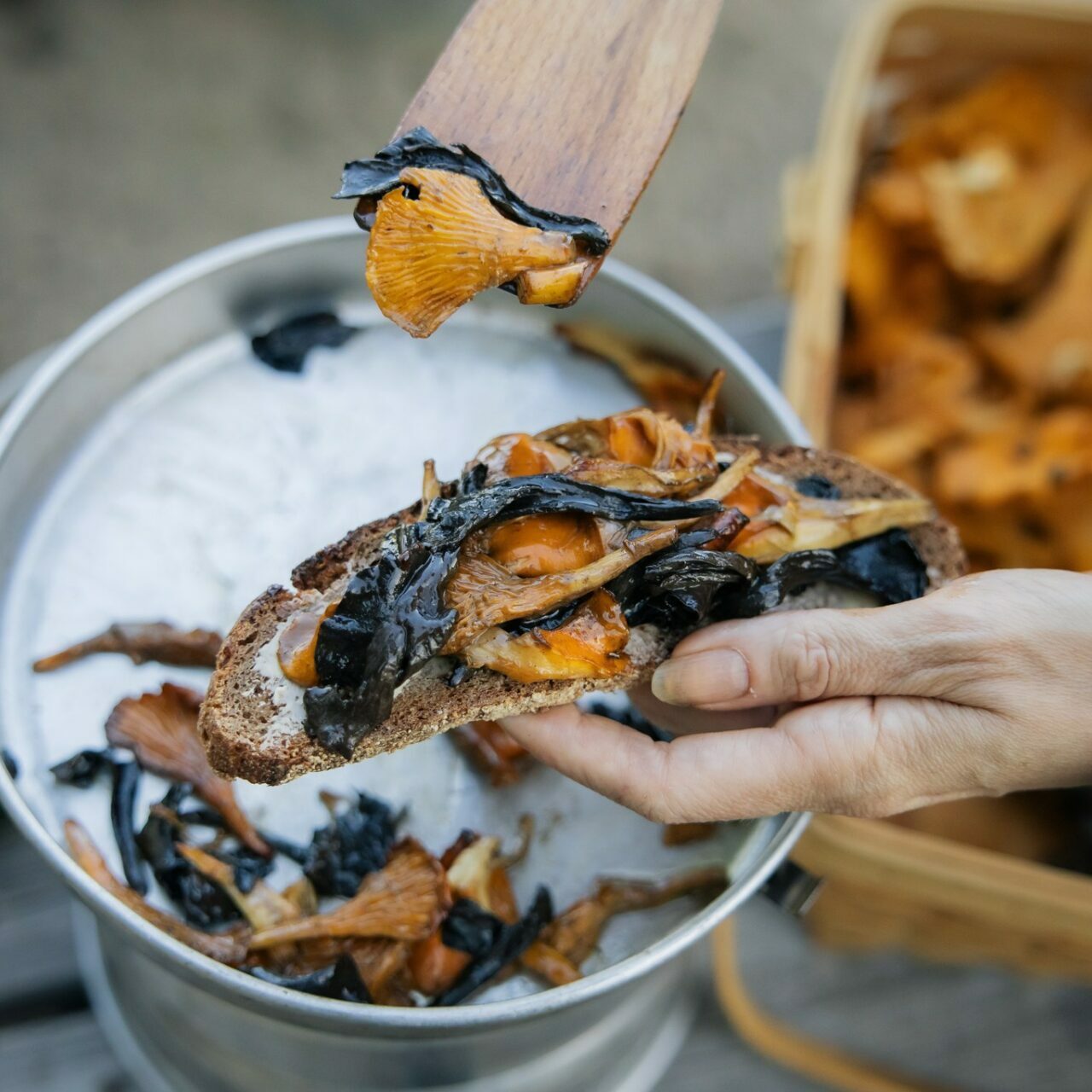 From forest to table, mushrooms cooked in nature and served on top of bread From forest to table, mushrooms cooked in nature and served on top of bread